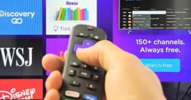 Fixes when Roku Remote Blinking Green and Will Not Pair