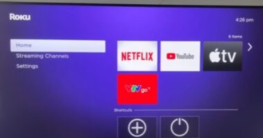 Causes Netflix Keeps Crashing on Roku TV